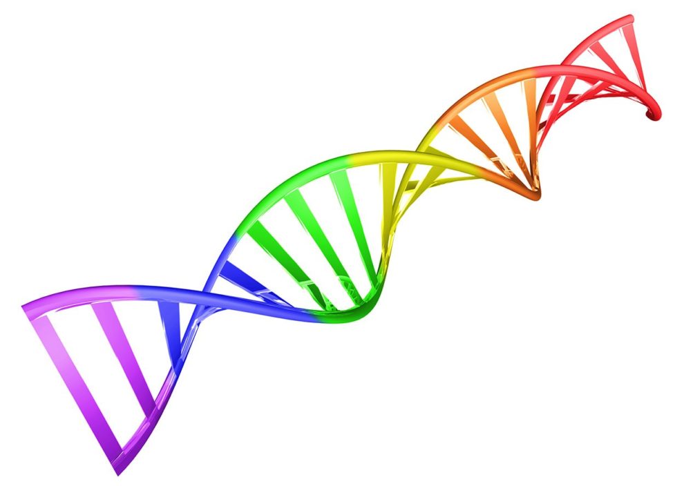 Regenbogen-DNA