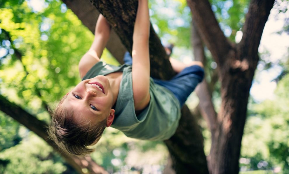 Klettern im Baum