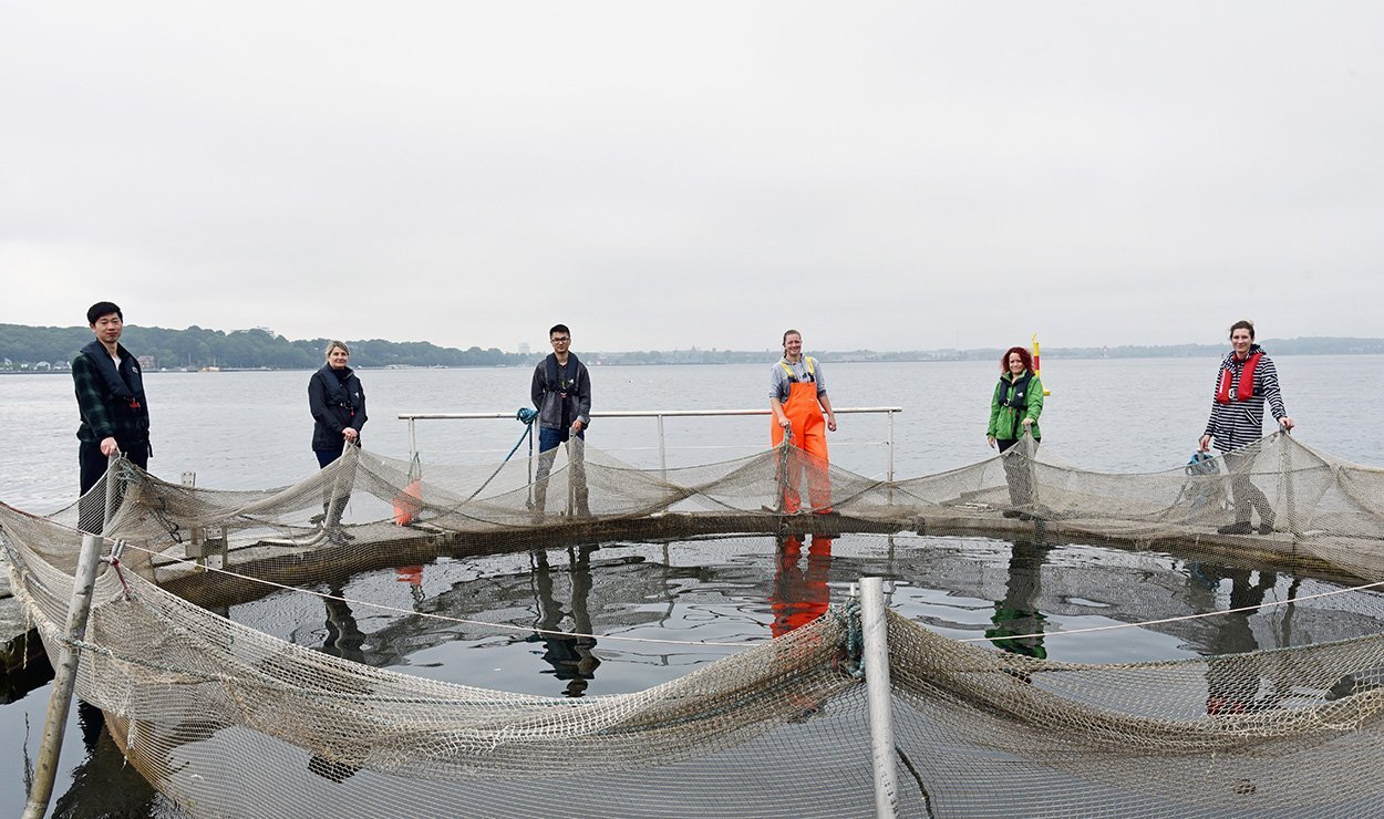 Umweltfreundlichere Netze für die Aquakultur 
