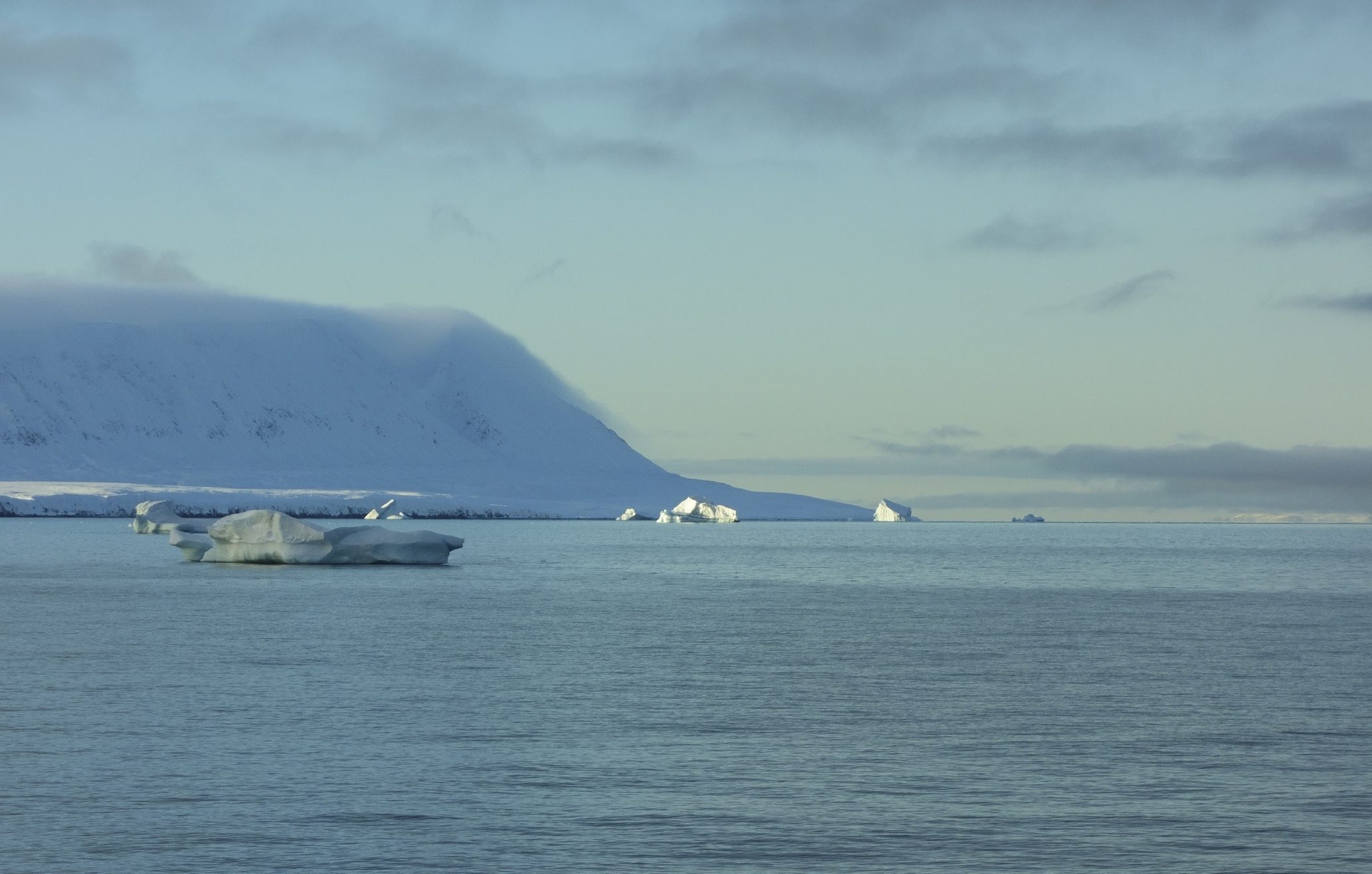 #Kohlenstoff-Förderband in arktischer Tiefe entdeckt