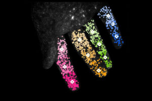 fluoreszierende Hand