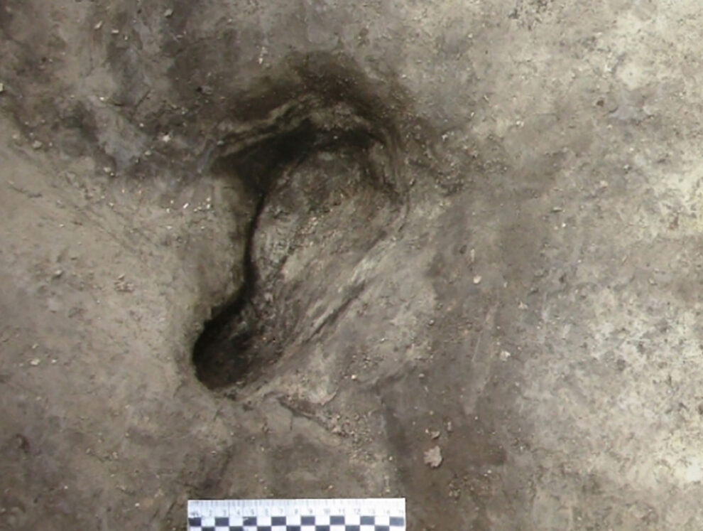 Germany’s oldest footprints discovered