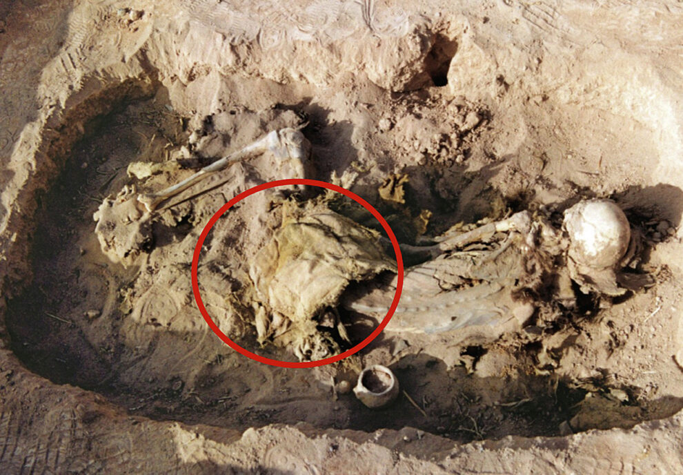 China: Oldest horse saddle discovered