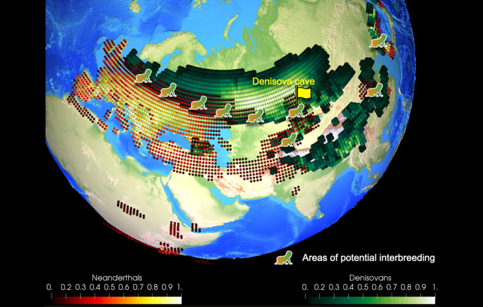 How climate change shaped early hominin life