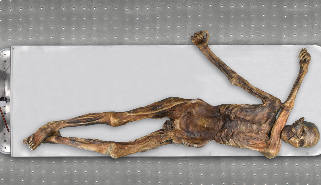 #„Ötzi“ hatte dunkle Haut und kaum noch Haare