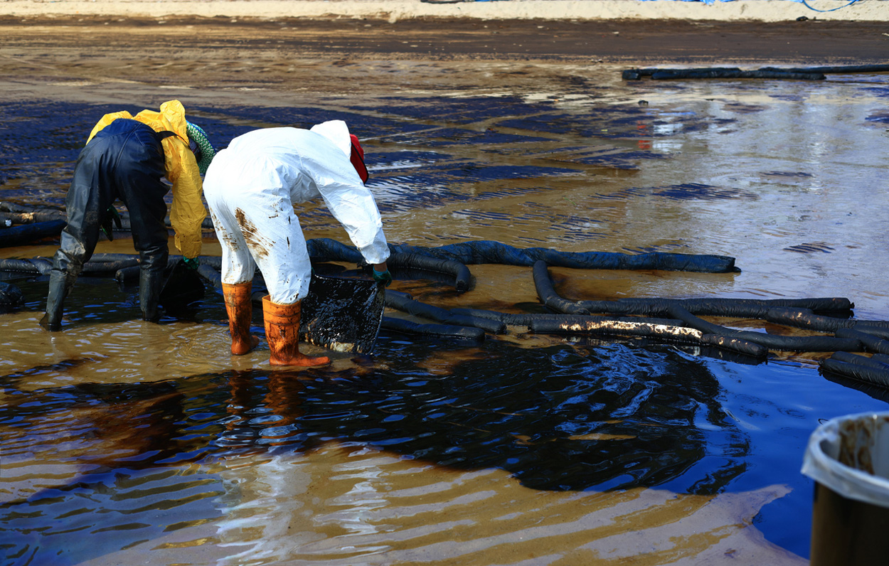 #Wie Meeresbakterien Öl abbauen