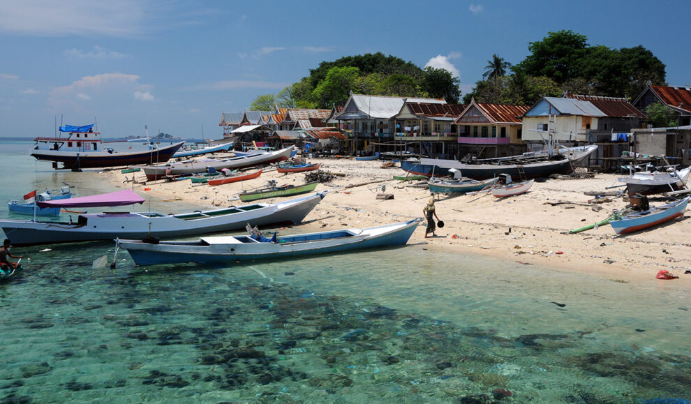 Two thirds of all coral reefs are overfished