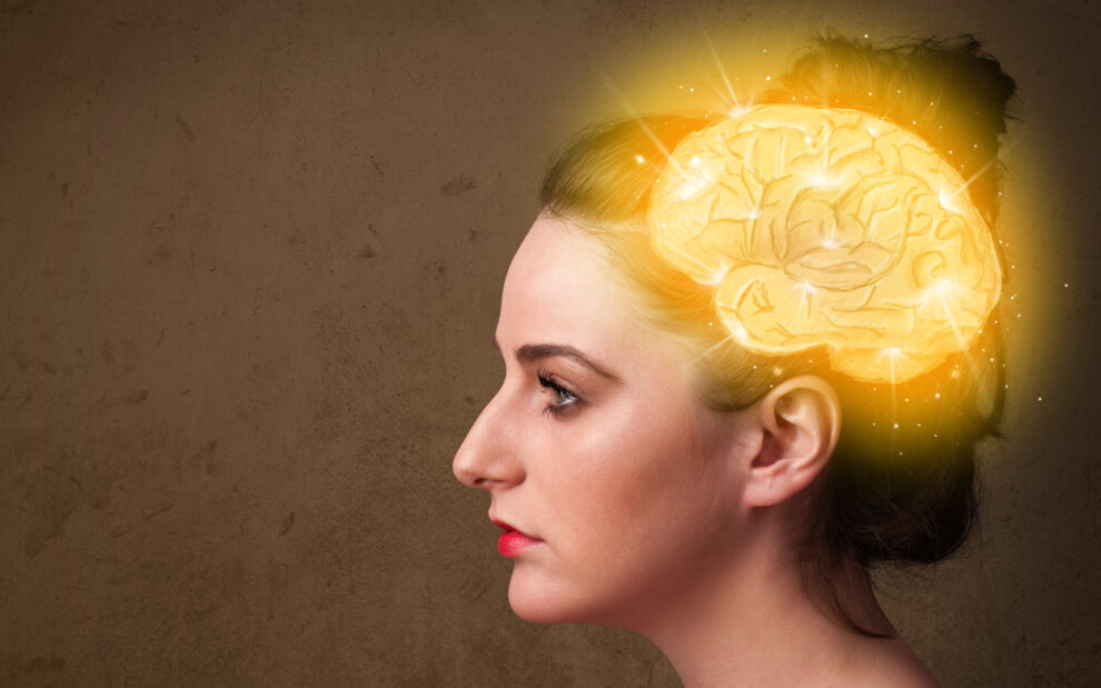 How the female cycle affects the brain