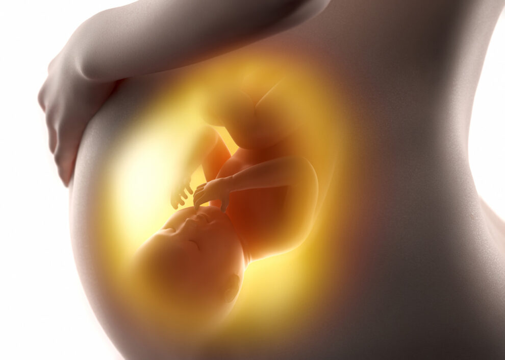 Nanoparticles: Risk for babies in the womb