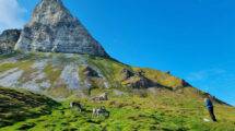 Landschaft auf Spitzbergen