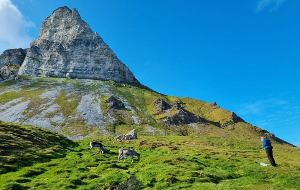 Landschaft auf Spitzbergen