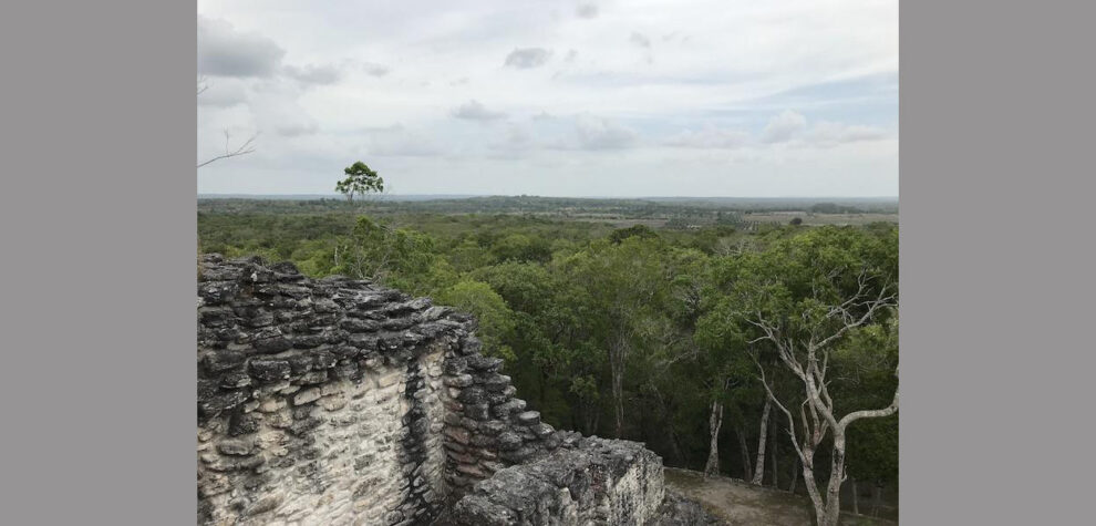 Laser scanning reveals large Mayan city