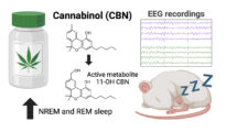 Cannabinol-Wirkung