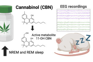 Cannabinol-Wirkung