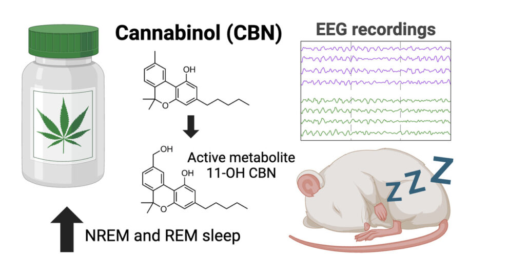 Cannabinol-Wirkung