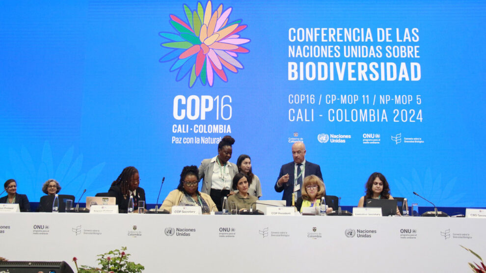 World Nature Conservation Summit ended without conclusion