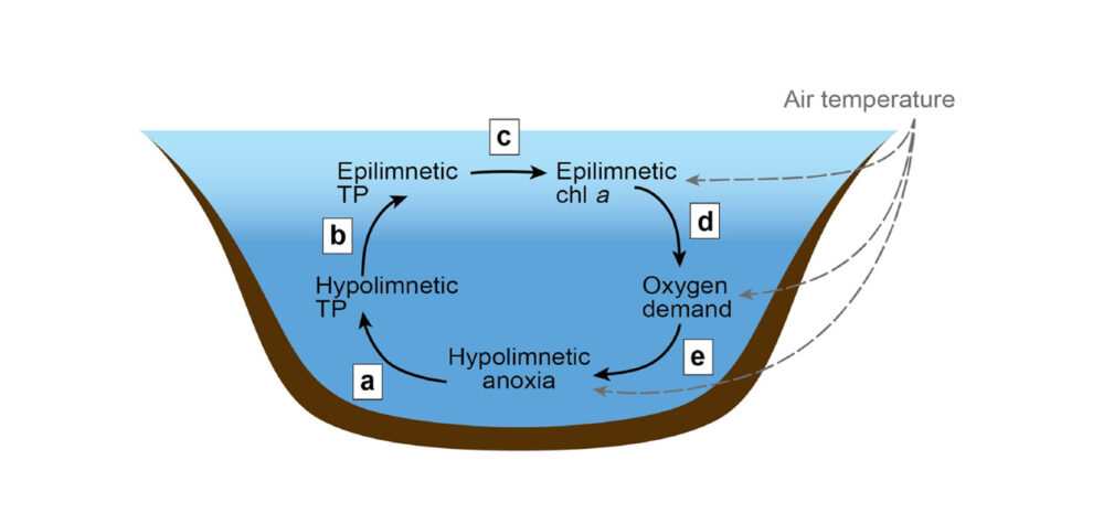 Lack of oxygen in lakes has long-term consequences