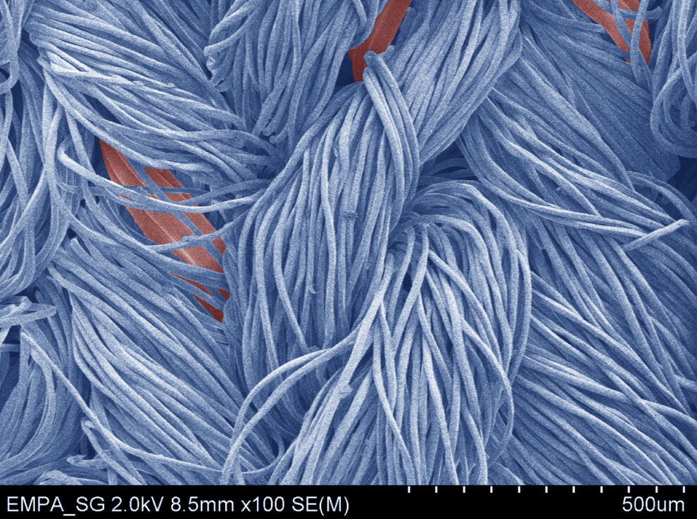 kolorierte Mikroskopaufnahme von Textilfasern