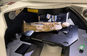 An intricately carved ivory figure under the microscope in an inVia Raman microspectrometer