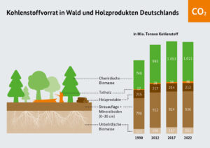 Grafik zur CO2-Bilanz der deutschen Wälder