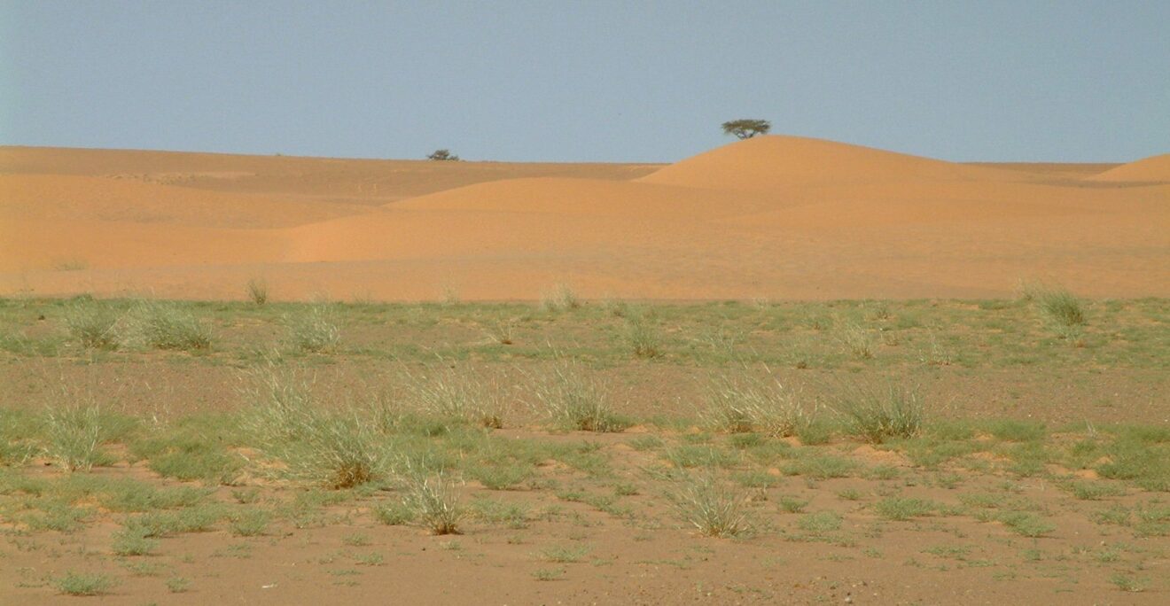 On the trail of the secret of the green Sahara - Techzle