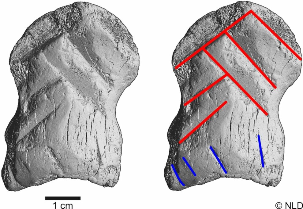 Neanderthal art discovered