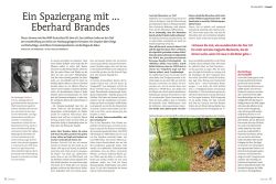 Brandes_250.jpg