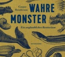 Buchpreis Ä Monster gr.jpg