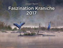 Faszination_Kraniche_2017_02031.jpg