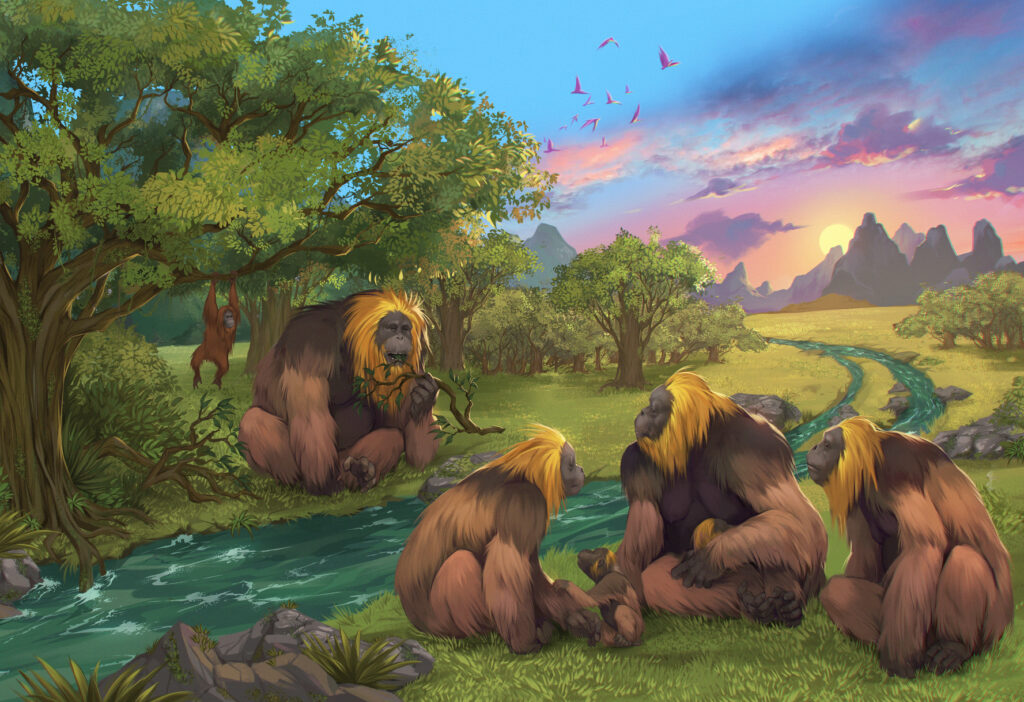 #Gigantopithecus: Warum der Riesen-Affe ausstarb
