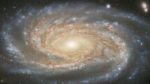 Grandiose_Galaxie:_Mit_etwa_205.000_Lichtjahren_Durchmesser_ist_NGC_7038_doppelt_so_groß_wie_unsere_Milchstraße,_sieht_aber_ganz_ähnlich_aus._Das_Foto_stammt_vom_Hubble-Weltraumteleskop_und_zeigt_eine_enorme_Detailfülle_dank_einer_integrierten_Belichtungszeit_von_15_Stunden._Die_Spiralgalaxie_befindet_sich_im_Sternbild_Indianer_am_Südhimmel_und_wurde_als_diffuses_Nebelfleckchen_am_30._September_1834_von_John_Herschel_im_südafrikanischen_Kapstadt_entdeckt._Der_Astronom_vermutete_bereits,_dass_das_Objekt_eine_Sterneninsel_außerhalb_der_Milchstraße_ist._Aber_er_konnte_nicht_einmal_­ahnen,_dass_die_Spiralgalaxie_die_gigantische_Entfernung_von_rund_220_Millionen_Lichtjahren_hat_und_mit_der_zwei_Tage_später_erspähten_elliptischen_­Galaxie_NGC_7014_das_hellste_Mitglied_eines_ganzen_Galaxienhaufens_ist:_Abell_3742._Dieser_befindet_sich_inmitten_einer_noch_größeren_Ansammlung_von_Galaxien,_dem_Pavo-Indus-Superhaufen._Er_liegt_in_direkter_Nachbarschaft_des_Superhaufens_Laniakea,_an_dessen_Rand_sich_unsere_Galaxis_bewegt.