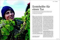 NK_1013_6-Erntehelfer.jpg