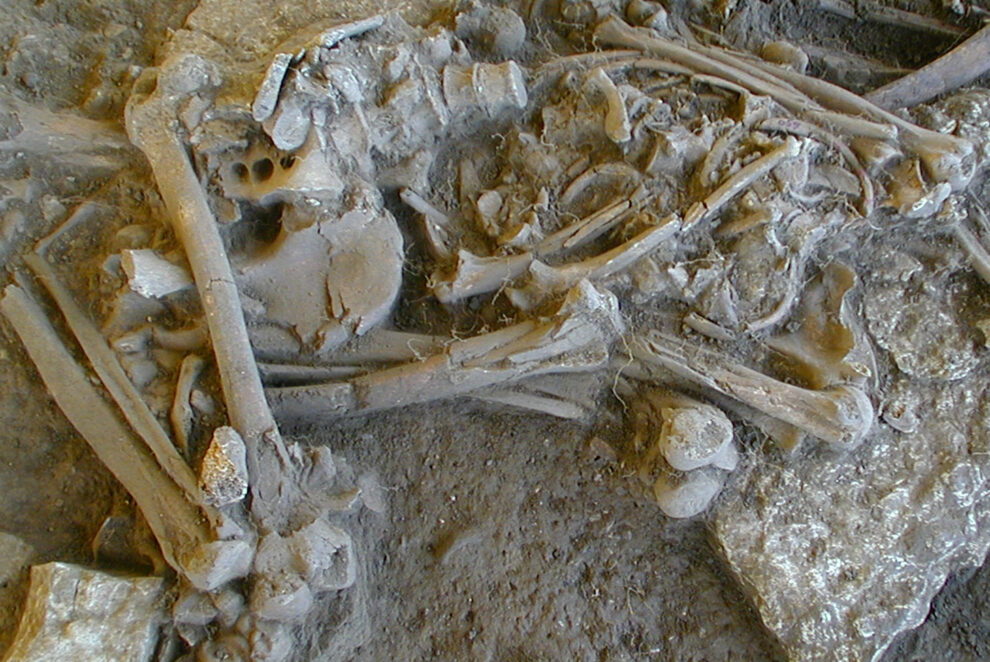 Severe plague epidemics in the Stone Age?