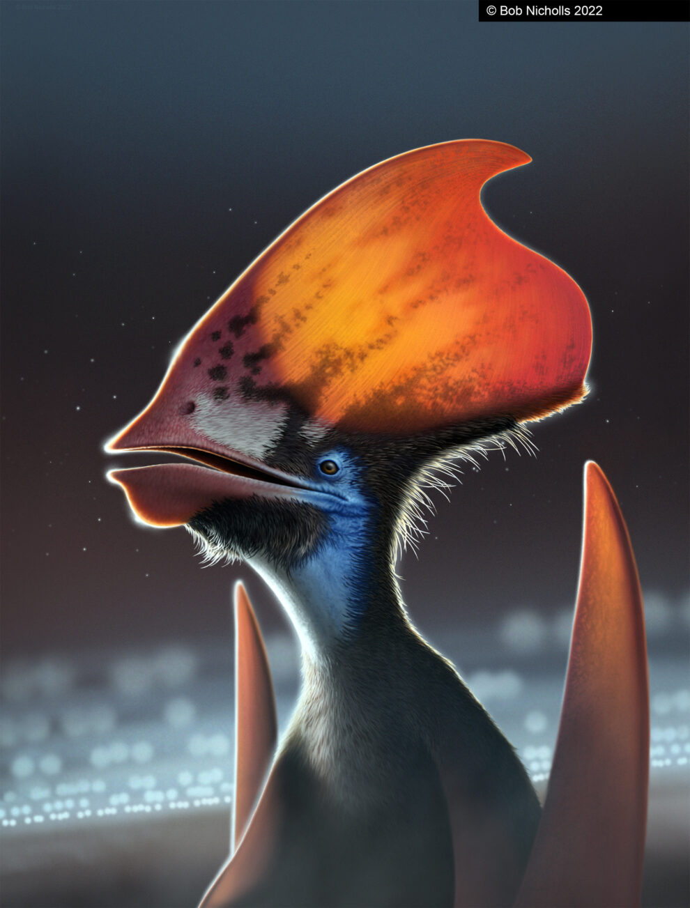 Pterosaurs with colored feathers