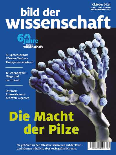 Titelbild bild der wissenschaft 10