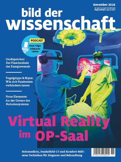 Titelbild bild der wissenschaft 11