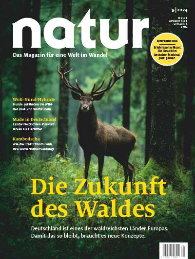 Titelbild natur 9