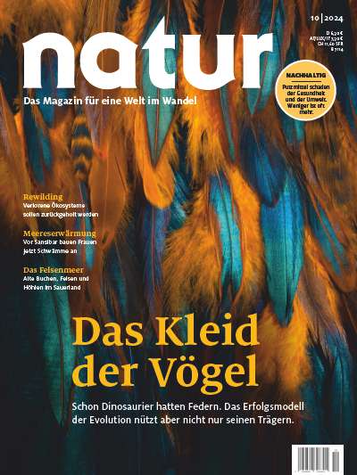 Titelbild natur 10