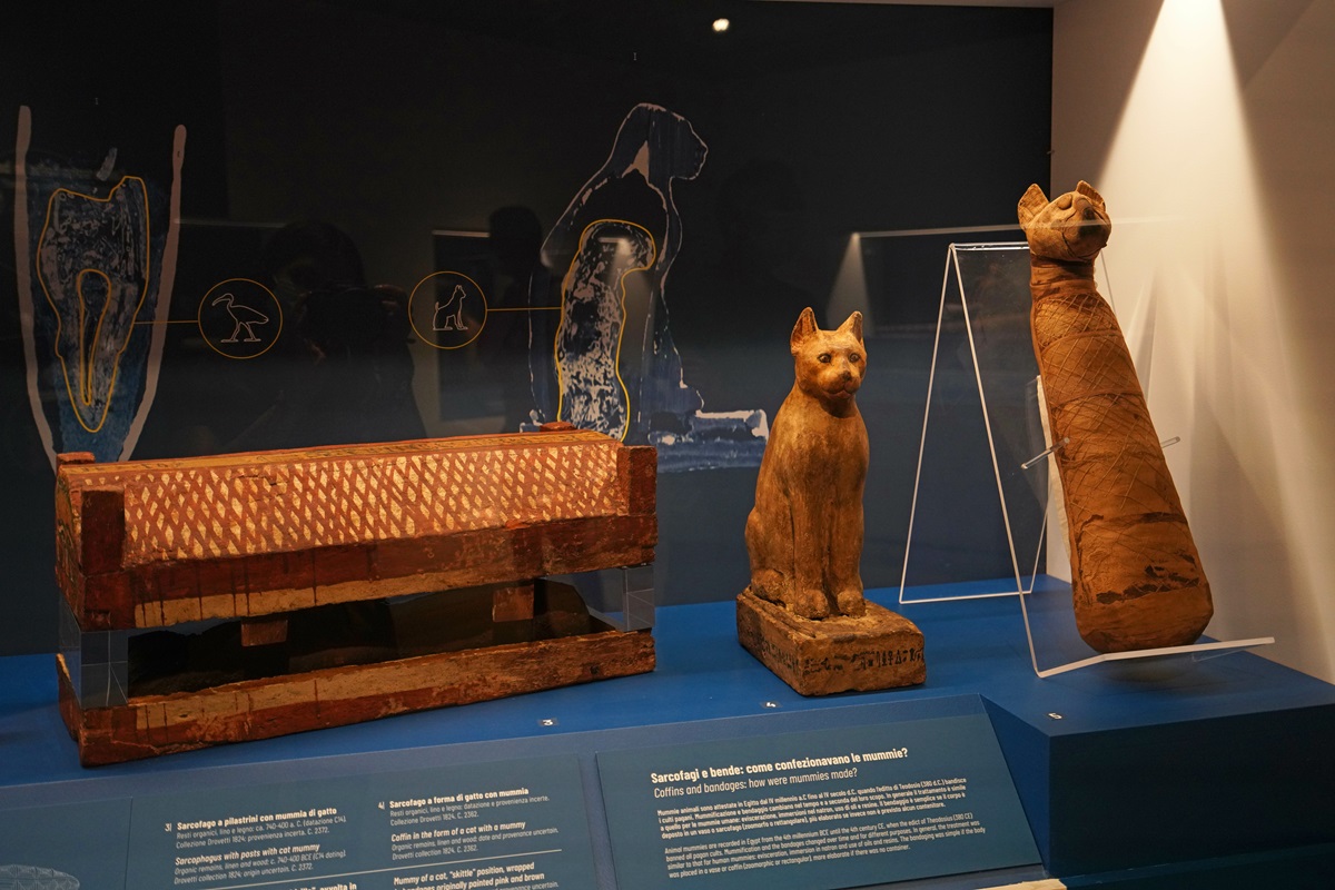 #Rund 13.000 Jahre alt: Die enge Bindung zwischen Katze und Mensch
