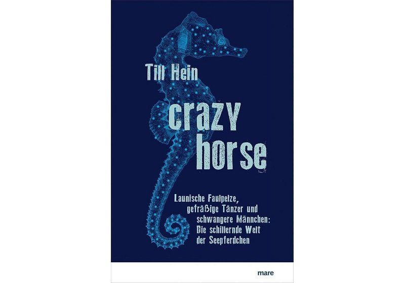 Cover Crazy horse, von Till Hein