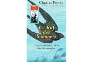 Cover DER RUF Des SOMMERS von Charles Foster