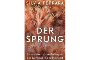 Cover DER SPRUNG von Silvia Ferrara