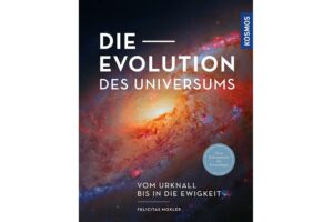 Cover DIE EVOLUTION DES UNIVERSUMS von Felicitas Mokler