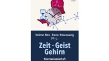 Cover Zeit – Geist – Gehirn vpn Helmut Fink, Rainer Rosenzweig (Hrsg.)