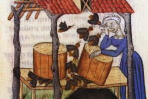 BEE-KEEPING_a_woman_attends_to_the_beehives_while_a_bear_is_attracted_by_the_scent_of_the_honey._Miniature_draft_from_a_French_code_of_the_5th_century_dell''_Erbario_of_Dioscoride'.