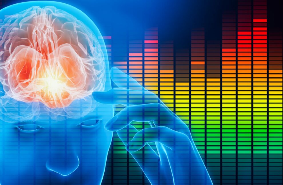 Neurons that listen specifically to song - Techzle