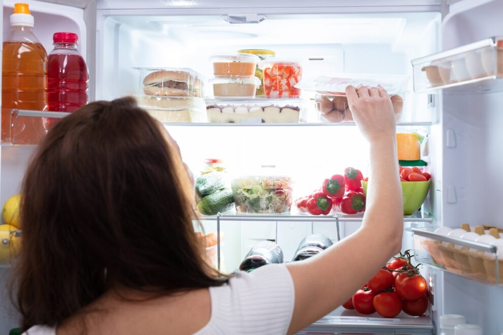 The Refrigerator: A Revolution in Human History