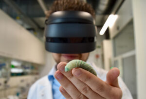Virtual journey through the “caterpillar of research”