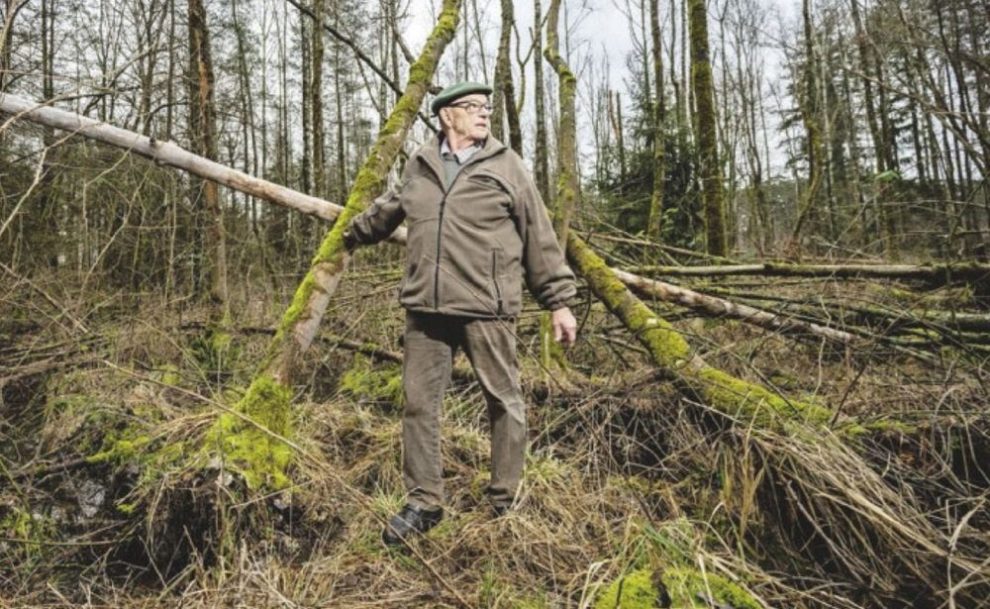 Mann in geschädigtem Wald