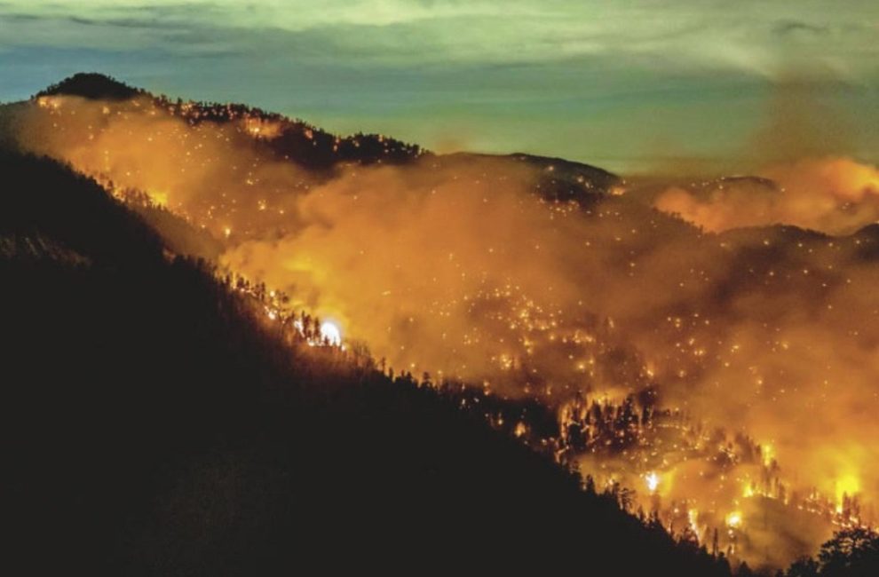 Bobcat Fire im Angeles National Forest in Los Angeles County, nördlich von Azusa, 17.09.2020